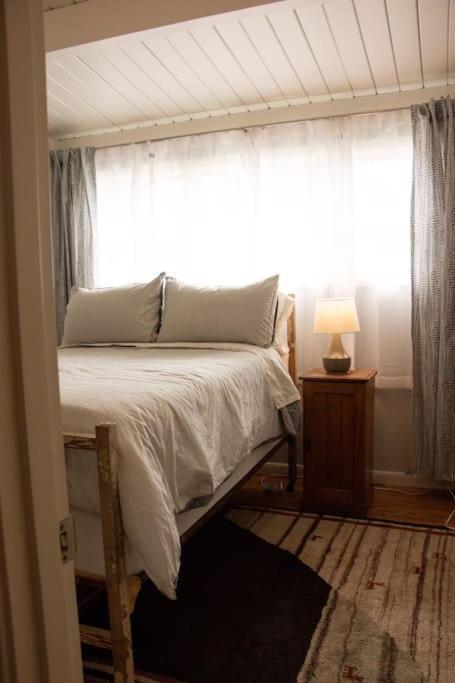 Newly Renovated Arcata Sunny Mid-Century Gem Villa Luaran gambar